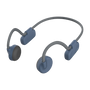 BC Wireless Lite