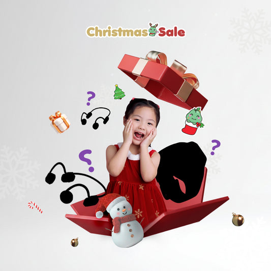 Secret Santa Mystery Box