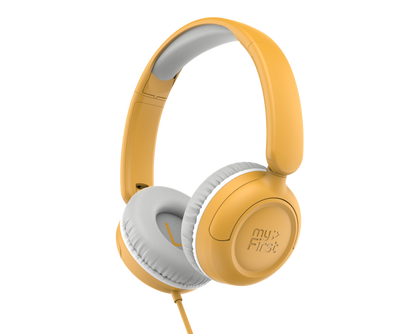 Carebuds Link W1