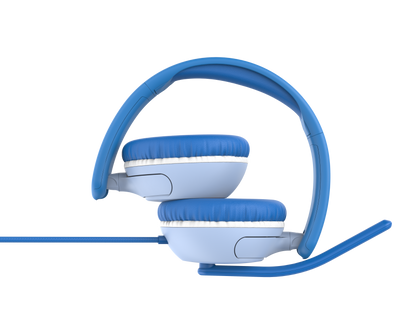Carebuds Link W2