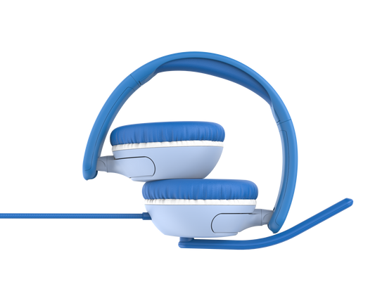 Carebuds Link W2