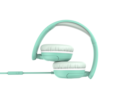 Carebuds Link W1