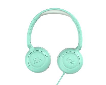 Carebuds Link W1