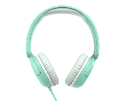 Carebuds Link W1